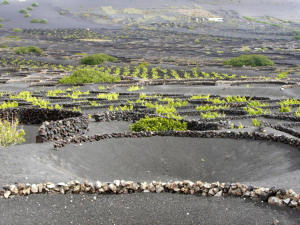 Lanzarote