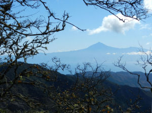 Landschaft mir Teide