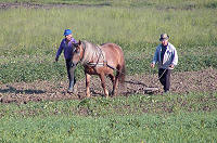 Ploughing