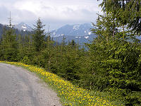 Carpathians