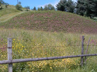 PDR_2070
