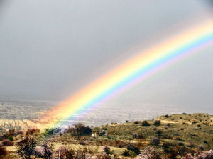 Regenbogen