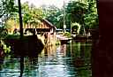 Spreewald